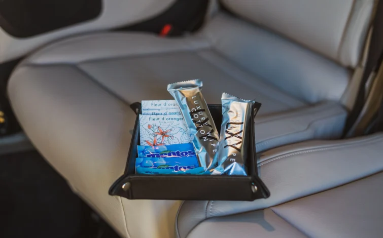 Mercedes V Class (1)